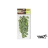 !!!!!    Plante suspendue 1 hauteur 45cm Gigan