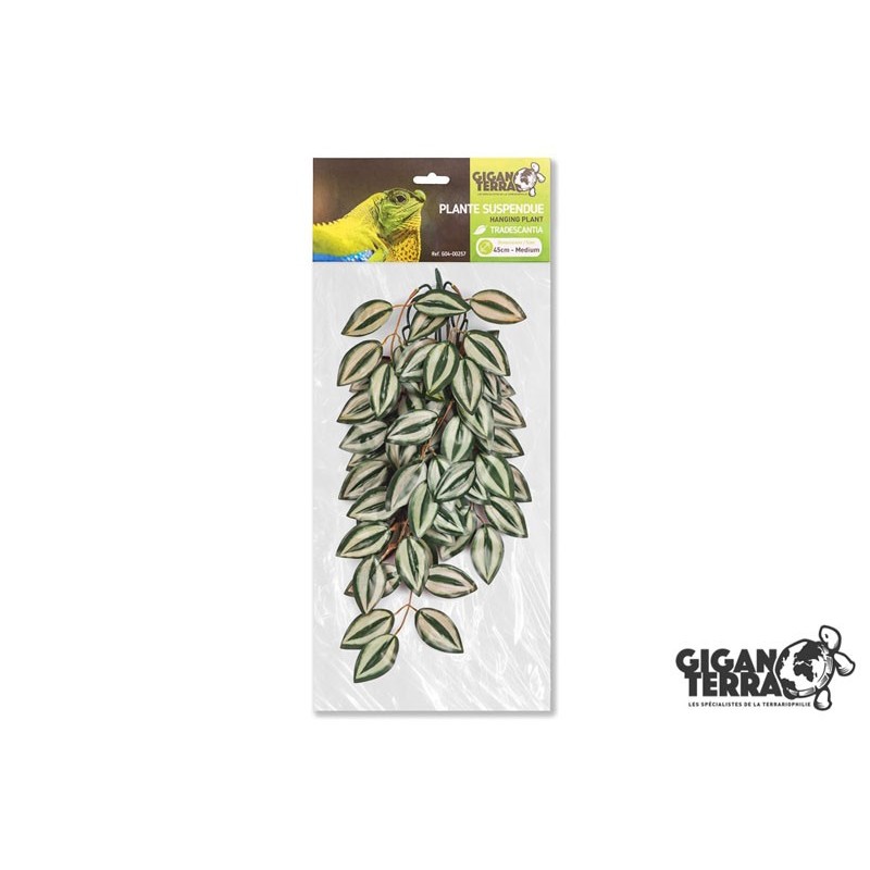 Plante suspendue 2 hauteur 45cm Gigan