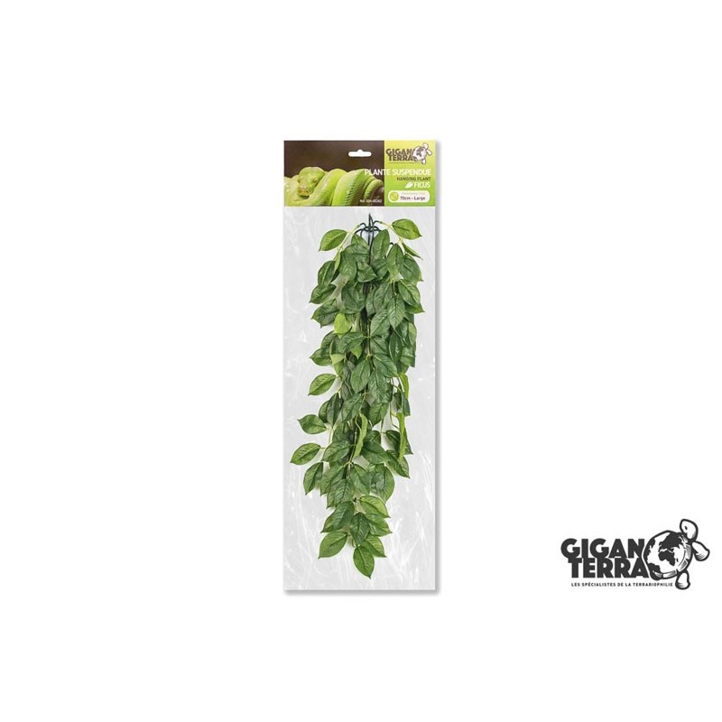 Plante suspendue 3 hauteur 70cm Gigan