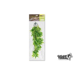 Plante suspendue 4 hauteur...