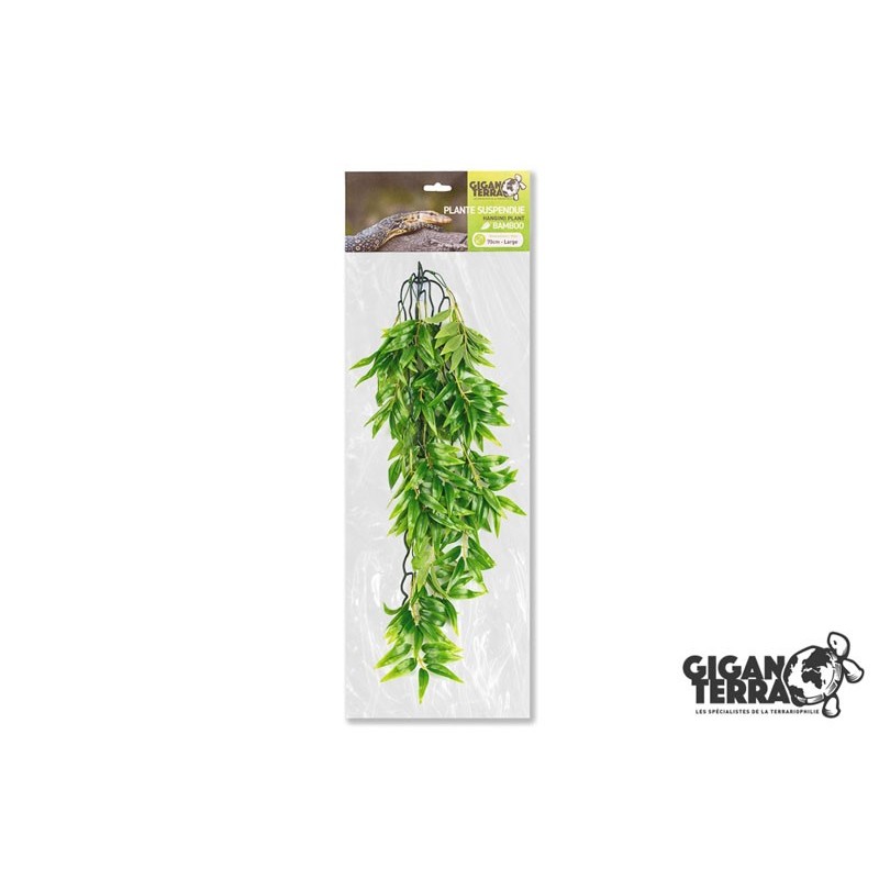 Plante suspendue 4 hauteur 70cm Gigan