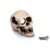 Deco Human skull 16cm  Gigan