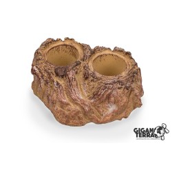 Support double Beetle jelly...