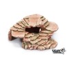 Deco PLATE FORME TORTUE AQUATIQUE RED M 22x15x8,5cm**GIGAN