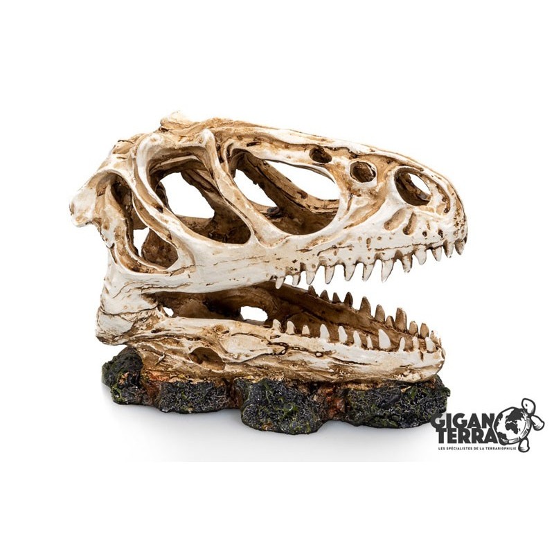 Deco SOCLE DINOSAURE3 13x6x11cm**GIGAN
