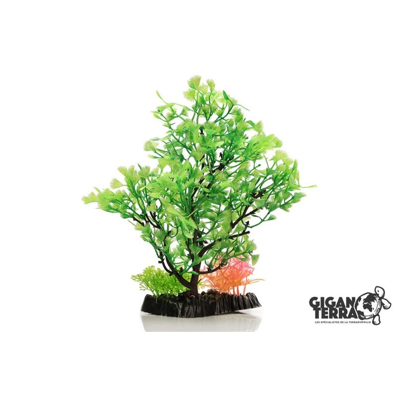 Plante sur pied 24 cm - 542