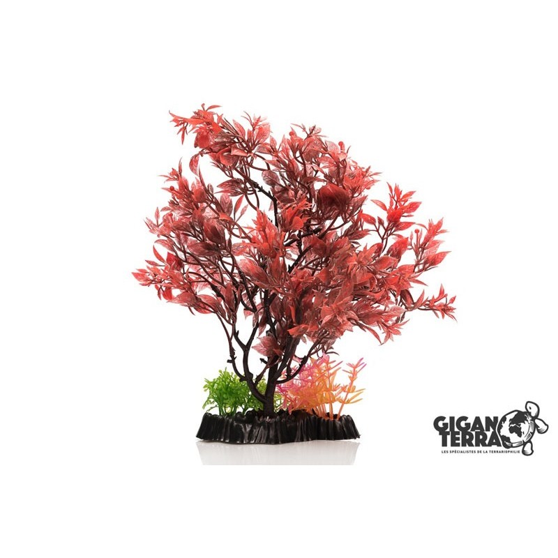 !!!!!    Plante sur pied 24 cm - 544
