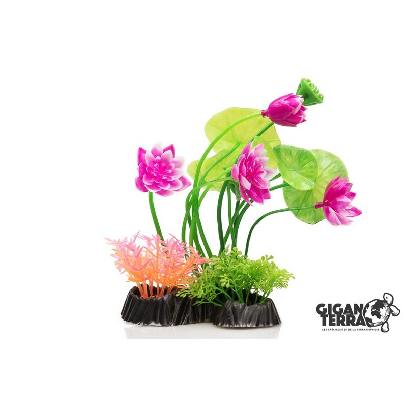 Plante sur pied 24 cm - 547
