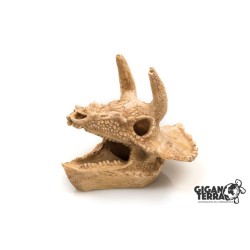 CRANE 571 - 14,3 X 12 X 9,7 CM