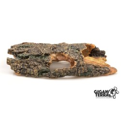 TRONC 585 - 27 X 12 X 6,5 CM