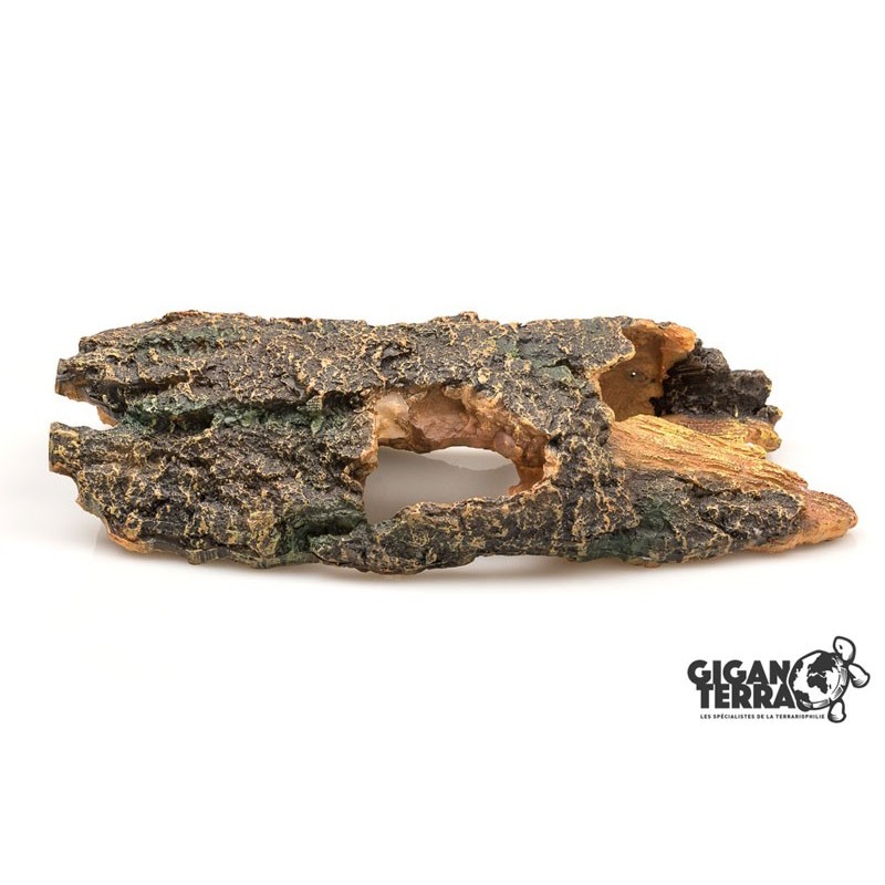 TRONC 585 - 27 X 12 X 6,5 CM