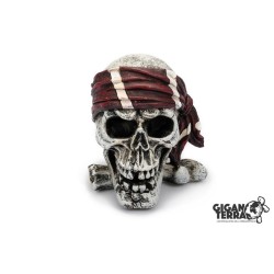 !!!!!    Deco CRANE PIRATE1...