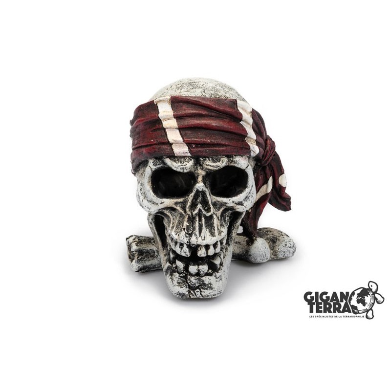 !!!!!    Deco CRANE PIRATE1 10x10,5x11cm**GIGAN