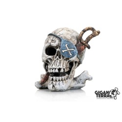 Deco CRANE PIRATE2...