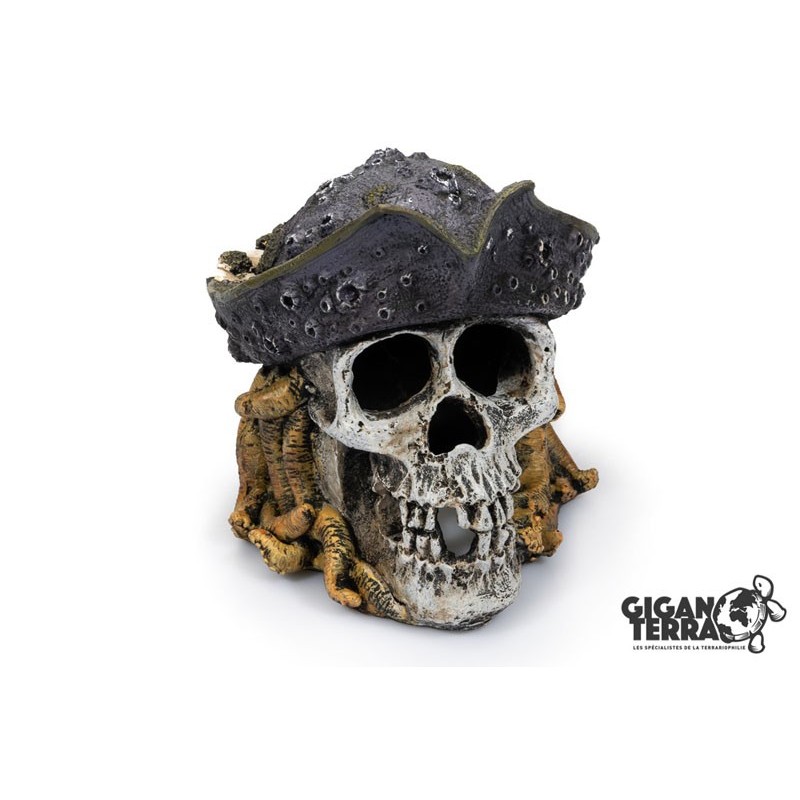 Deco CRANE PIRATE3 15x13x14cm**GIGAN