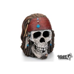 !!!!!    Deco CRANE PIRATE4...