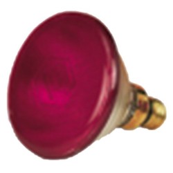 AMPOULE INFRAROUGE IR...
