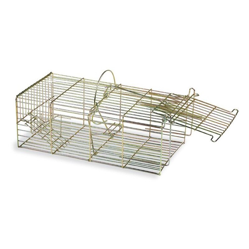 CAGE PIEGE RAT SOURIS MULTI CAPTURE+ GAUN