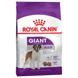 GIANT ADULT RC 15KG RC SIZE 
