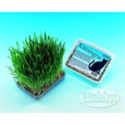 HERBE A CHAT EN BAC ALU**