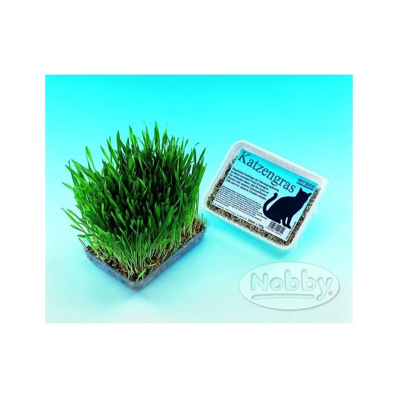 HERBE A CHAT EN BAC ALU**