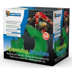 KOI PRO BROSSE DE FRAI /2PCS**