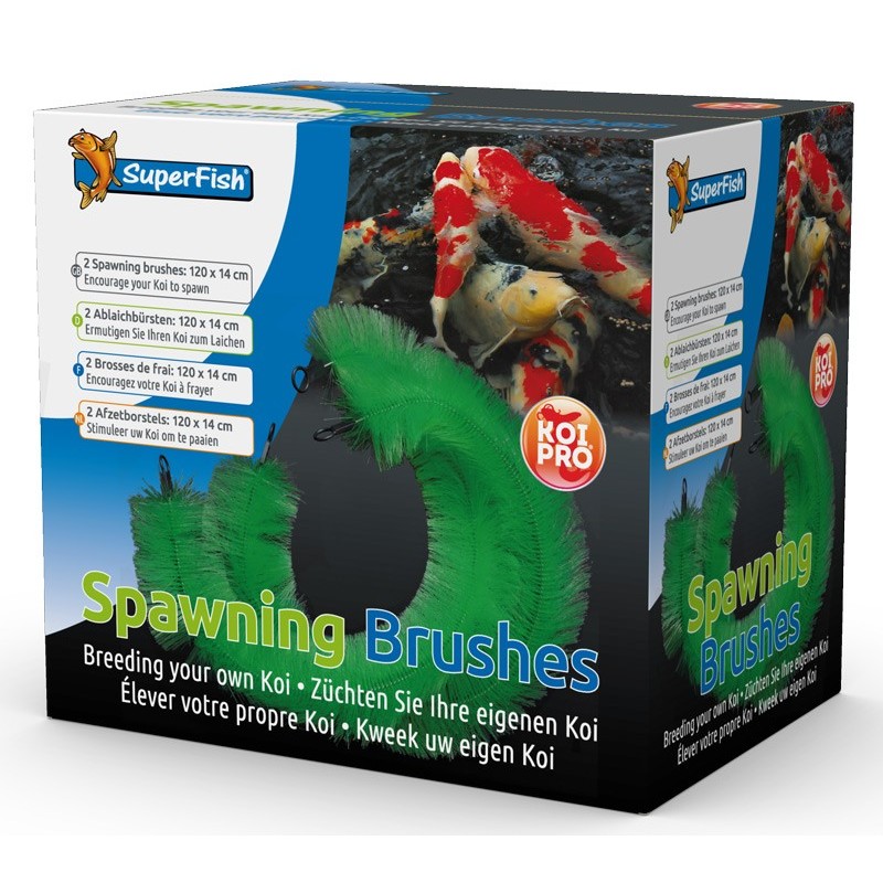 KOI PRO BROSSE DE FRAI /2PCS**