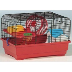 !!!!!!!CGE HAMSTER MARIA...