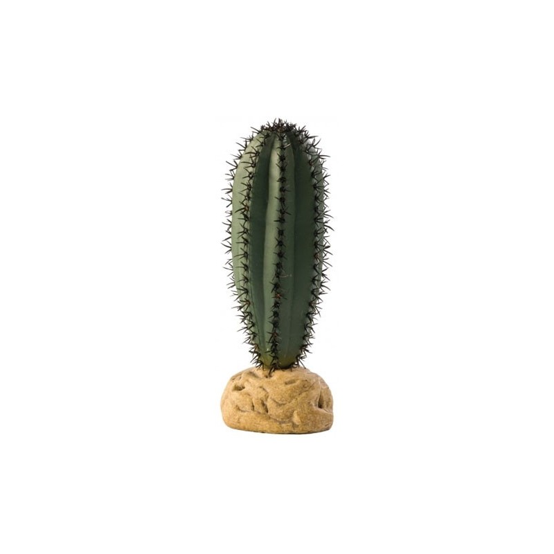 CACTUS SAGUARO*** HAGEN