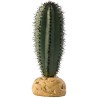 CACTUS SAGUARO*** HAGEN