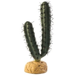 CACTUS EN DOIGTS*** HAGEN