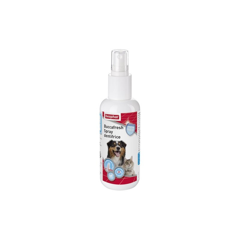 SPRAY DESODORISANT HALEINE bucca fresh 150ml*+ icc