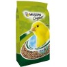 COUSSIN CANARIS 4 KG* VADI