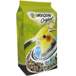 COUSSIN GRANDE PERRUCHE...