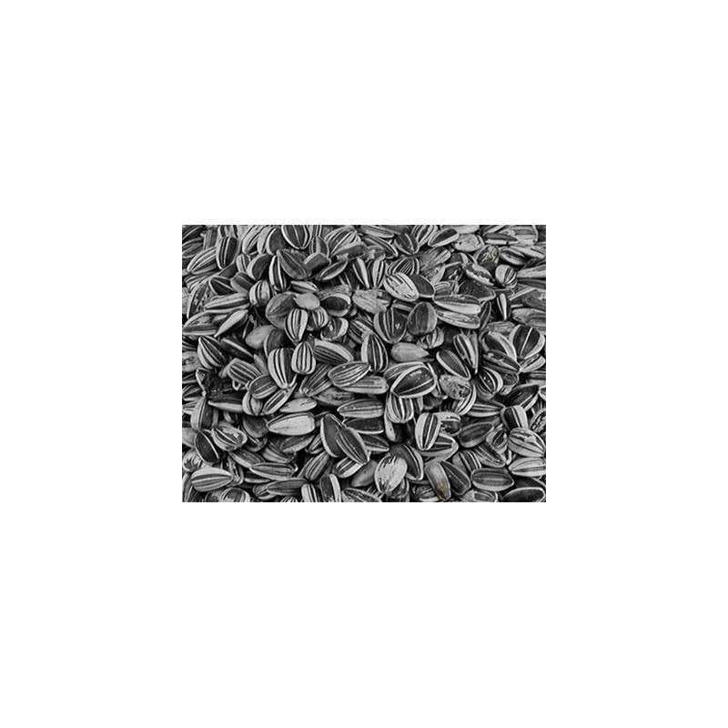 TOURNESOL STRI 2.5KG VADI