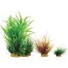 PLANT KIT WIHA N°2