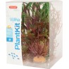 PLANT KIT WIHA N°3