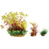 PLANT KIT WIHA N°4