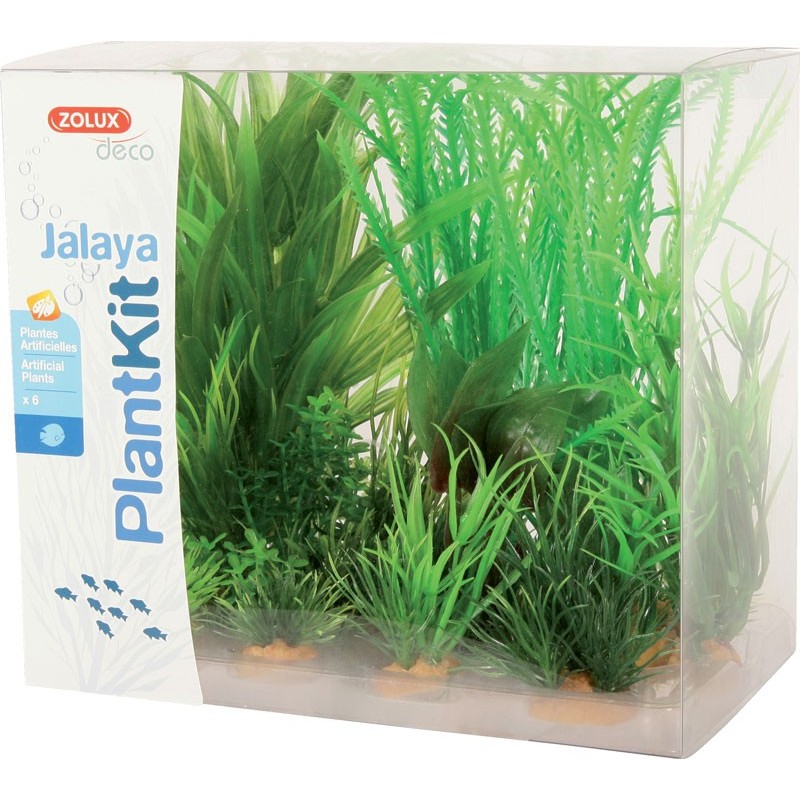 PLANT KIT JALAYA N°1
