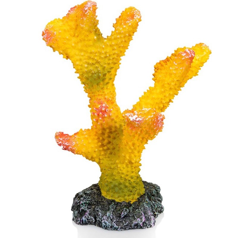 Deco CORAUX 2  13x12x18cm**GIGAN