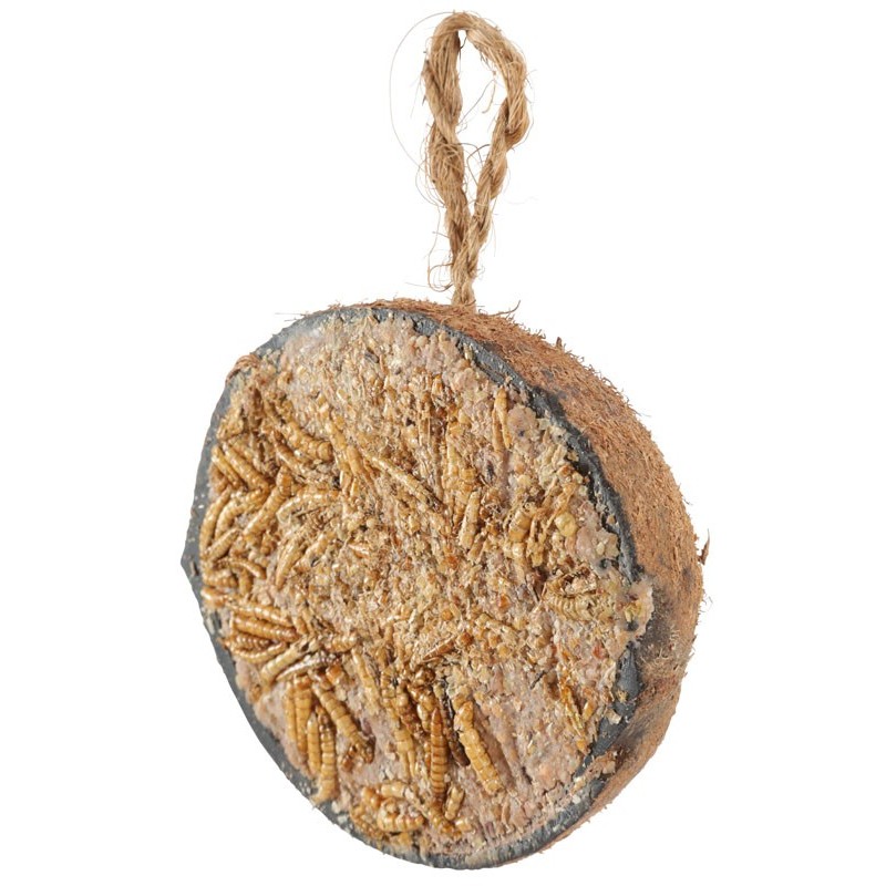 DEMI COCO GRAISSE VERS DE FARINE