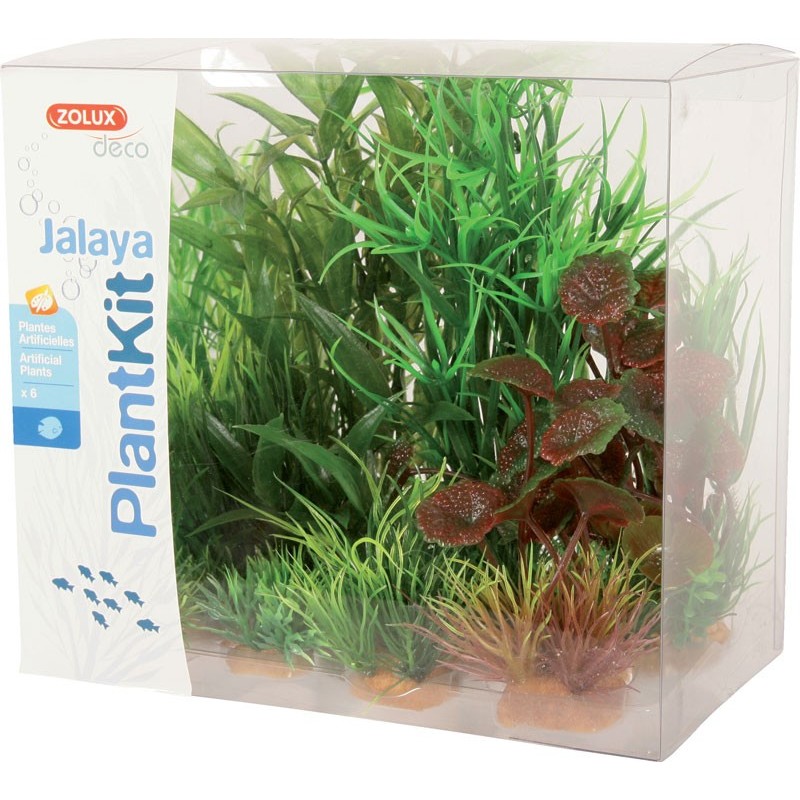 PLANT KIT JALAYA N°2