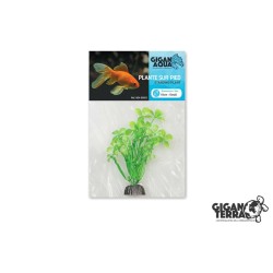 Plante sur pied flottante...