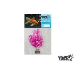 Plante sur pied flottante...