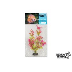 Plante sur pied flottante...