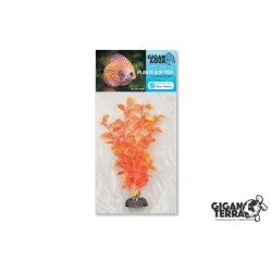 Plante sur pied flottante...