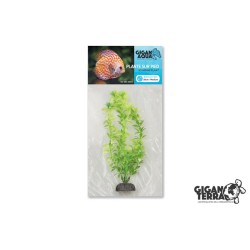 Plante sur pied flottante...