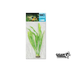 !!!!!    Plante sur pied...