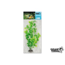 Plante sur pied flottante...