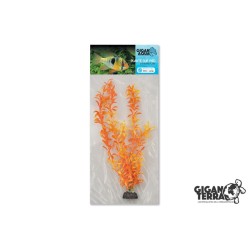 Plante sur pied flottante...